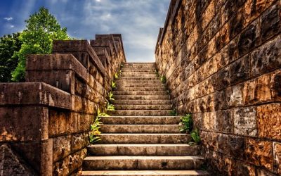 The Power of Comfortable Discomfort