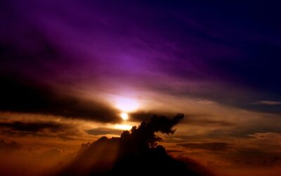 The Eleventh Hour