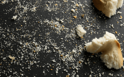 Follow the Breadcrumbs
