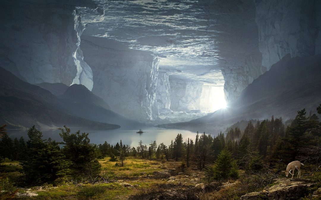 Braving the Unknown