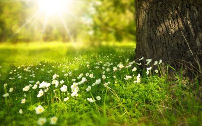 A 3 Word Mantra for Soulful Speaking