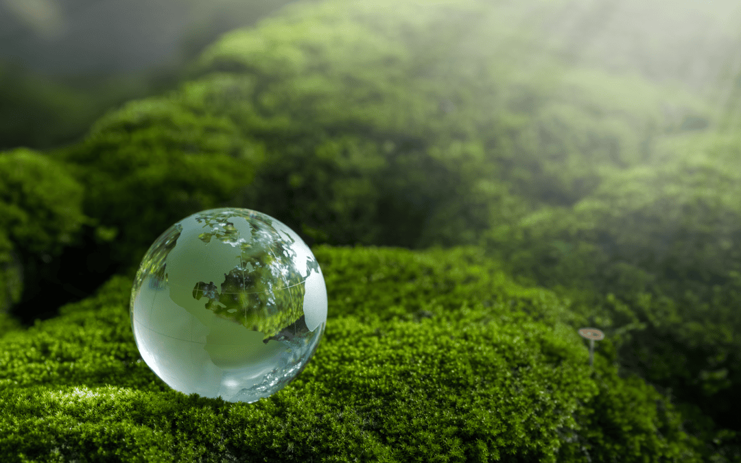 Authenticity alone won’t change the world