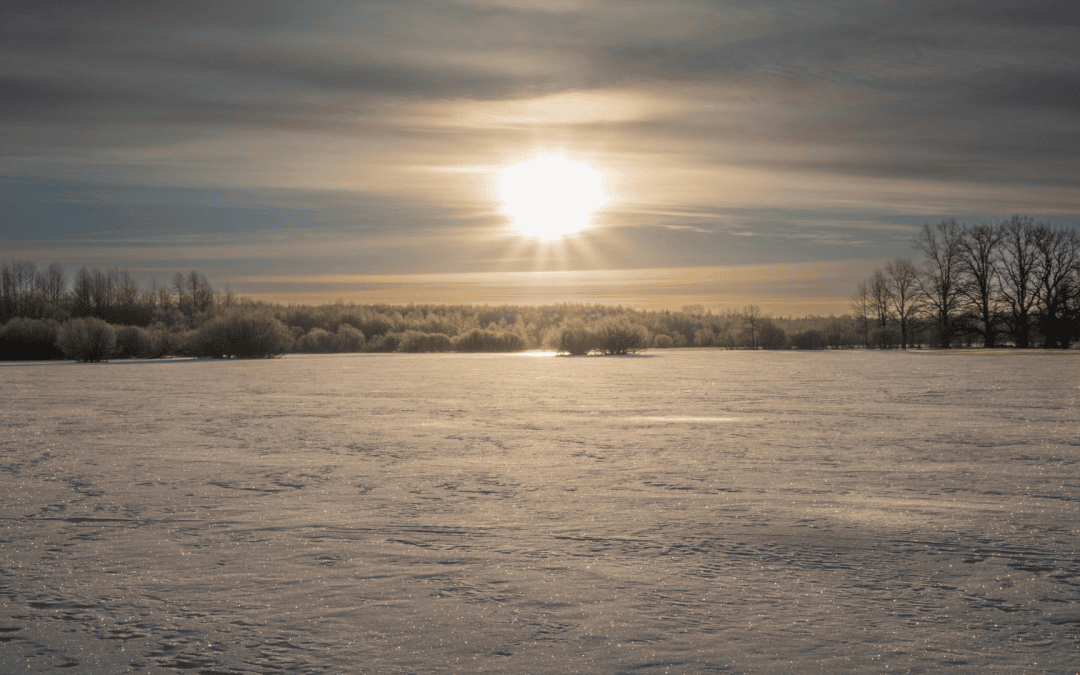 Untamed Leader: Standing in Your True Frequency